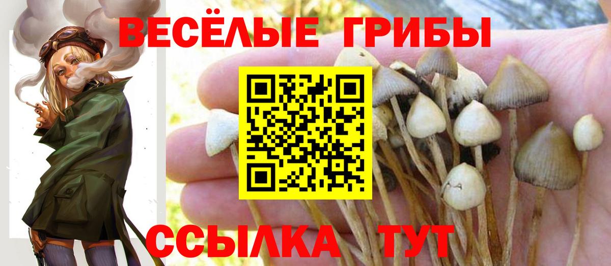 Грязи  Галлюциногенные грибы GOLDEN TEACHER  Псилоцибиновые грибы GOLDEN TEACHER  Вход с VPN 