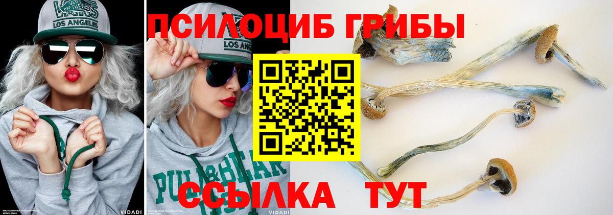 Псилоцибиновые грибы MAGIC MUSHROOMS Грязи